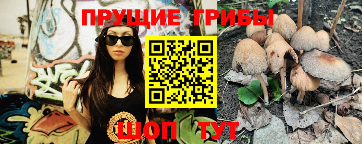 Псилоцибиновые грибы Magic Shrooms  Галлюциногенные грибы MAGIC MUSHROOMS  Дербент  Вход с VPN 